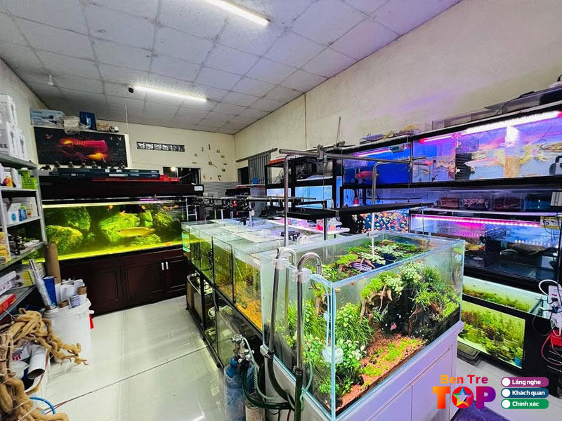 Aqua-dang-nguyen-bentretoplist