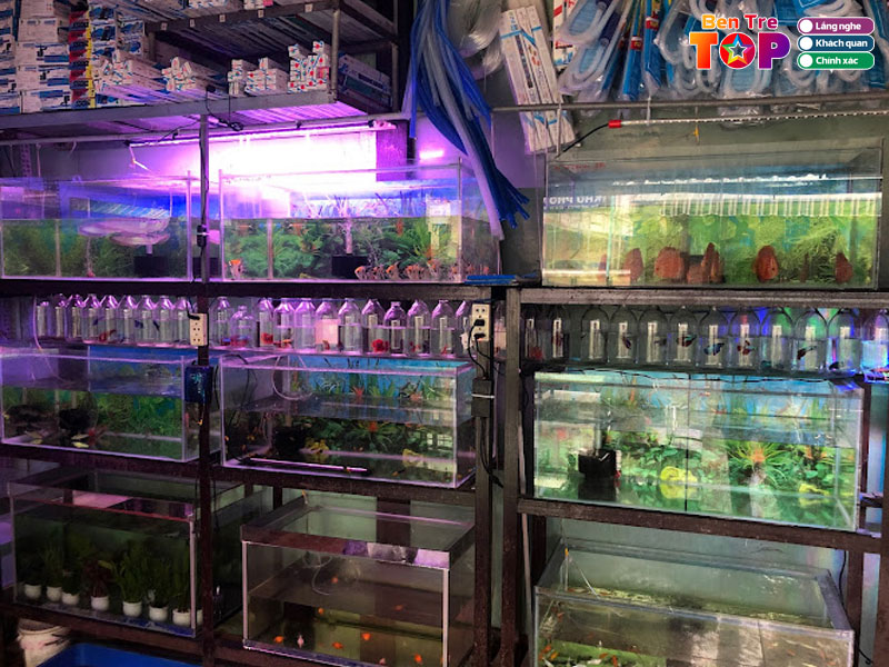 Ban-ca-kieng-thy-bentretoplist