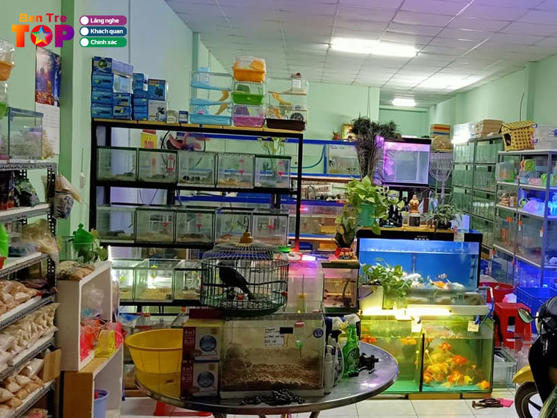 Ca-canh-anduy-tran-nguyen-bentretoplist