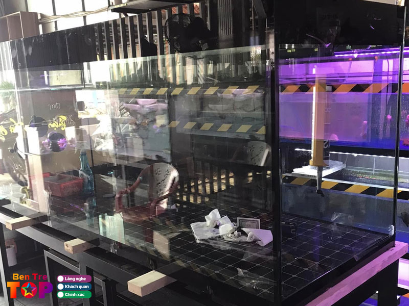 Ca-canh-giao-long-bentretoplist