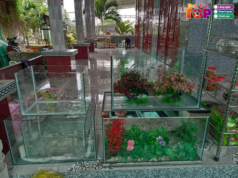 Ca-canh-kim-don-bentretoplist