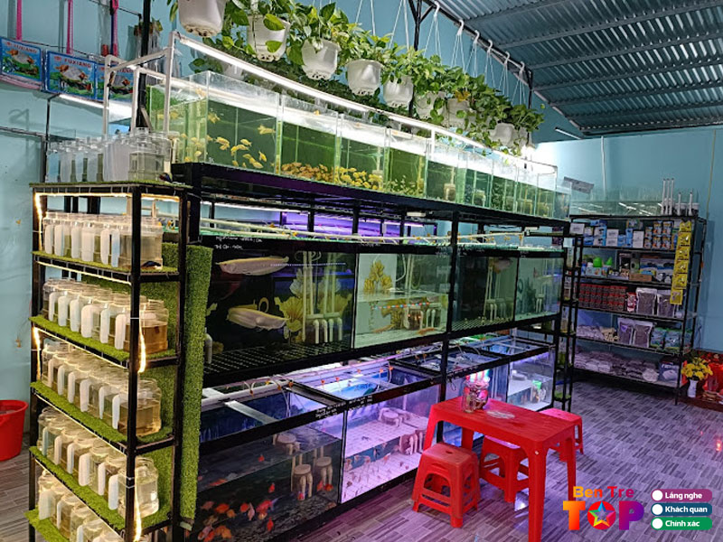 Ca-canh-phuong-nhi-bentretoplist