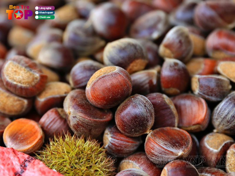 Cua-hang-mong-nghi-bentretoplist