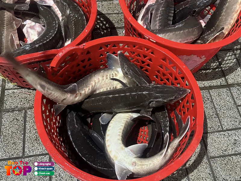 Hai-san-phuoc-thu-bentretoplist