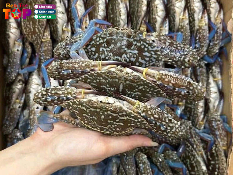 Huong-dan-lua-chon-va-meo-trai-nghiem-tu-dan-ban-dia-3-bentretoplist