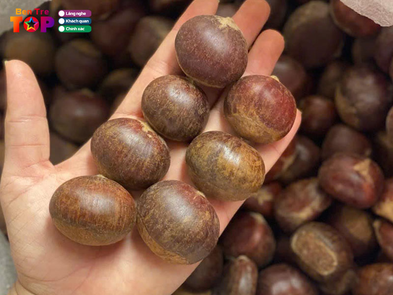 Hy-an-vat-bentretoplist