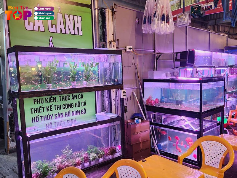 Tiem-ca-canh-39-hue-hoan-bentretoplist