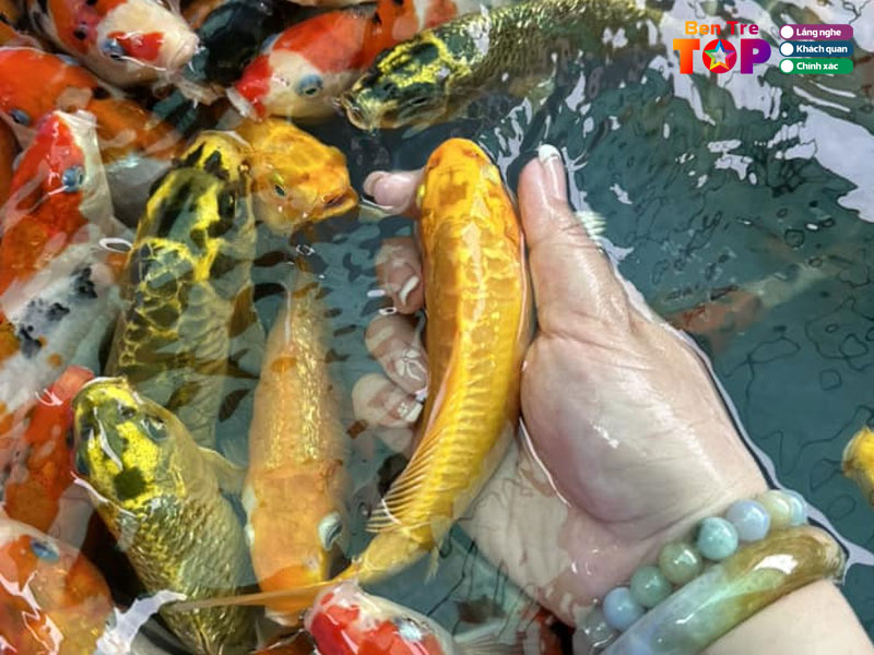 Trai-ca-giong-tu-moi-bentretoplist