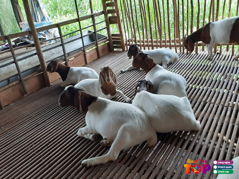 Trai-de-hoang-cung-bentretoplist