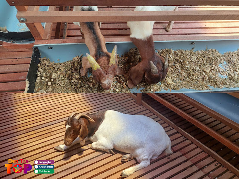 Trai-de-quoc-chau-bentretoplist