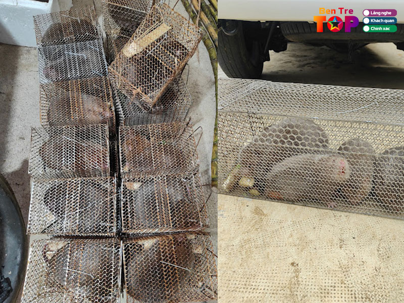 Trai-dui-ut-dong-bentretoplist