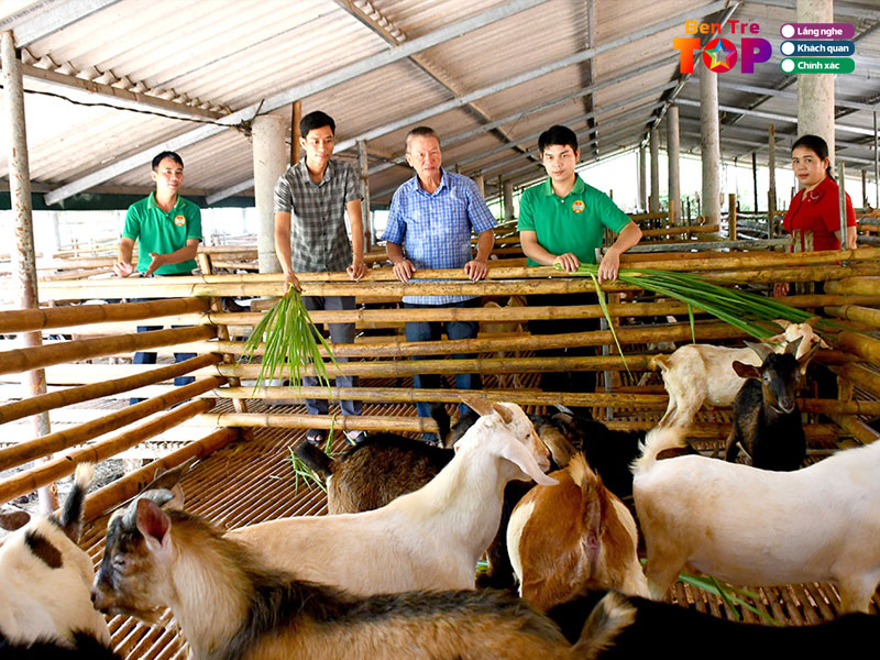 Trai-nuoi-de-thanh-cong-bentretoplist