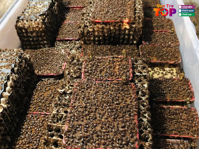 Trang-trai-hoang-minh-bentretoplist