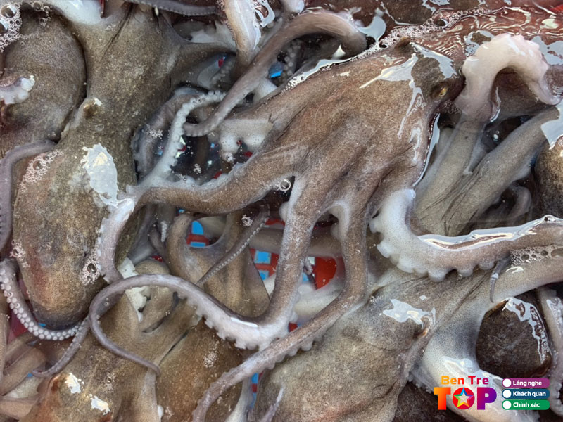 Vua-hai-san-ut-quang-ben-tre-bentretoplist