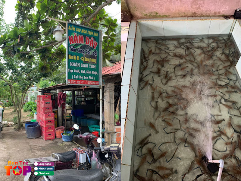 Vua-tom-cang-xanh-nam-day-bentretoplist