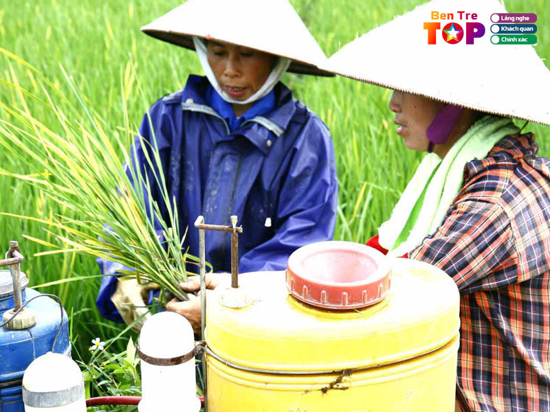 Cua-hang-thuoc-bao-ve-thuc-vat-phan-bon-nguyen-thi-tien-bentretoplist