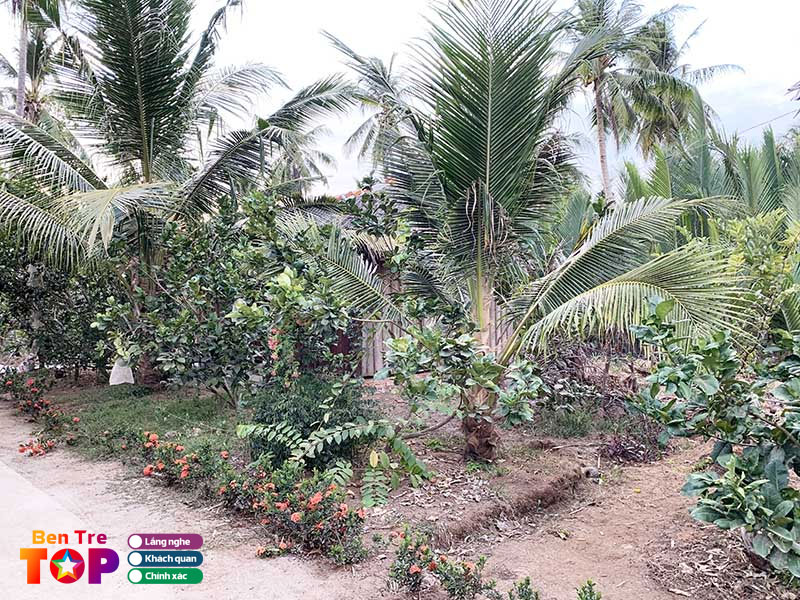 Cay-trai-tru-phu-cua-con-oc-bentretoplist