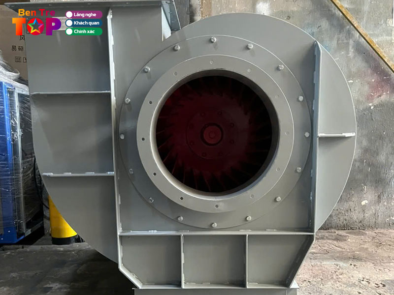 Cong-ty-phu-dat-vuong-bentretoplist