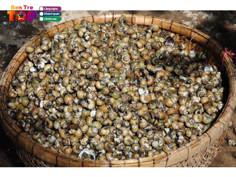 Khoi-nguon-cua-banh-xeo-oc-gao-ben-tre-bentretoplist