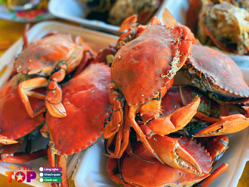 Nhung-diem-den-phuc-hop-bien-con-bung-ben-tre-2-bentretoplist