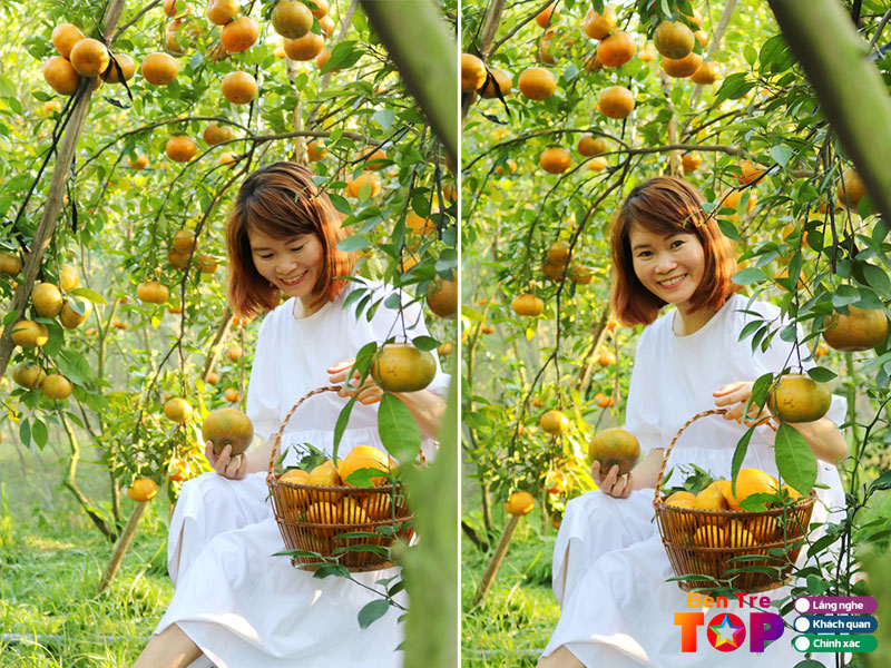 Trai-nghiem-thu-vi-tai-vuon-trai-cay-cai-mon-bentretoplist