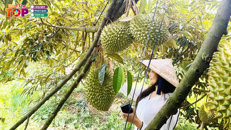 Vuon-trai-cay-cai-mon-ben-tre-dia-diem-thuong-thuc-trai-cay-tuoi-bentretoplist