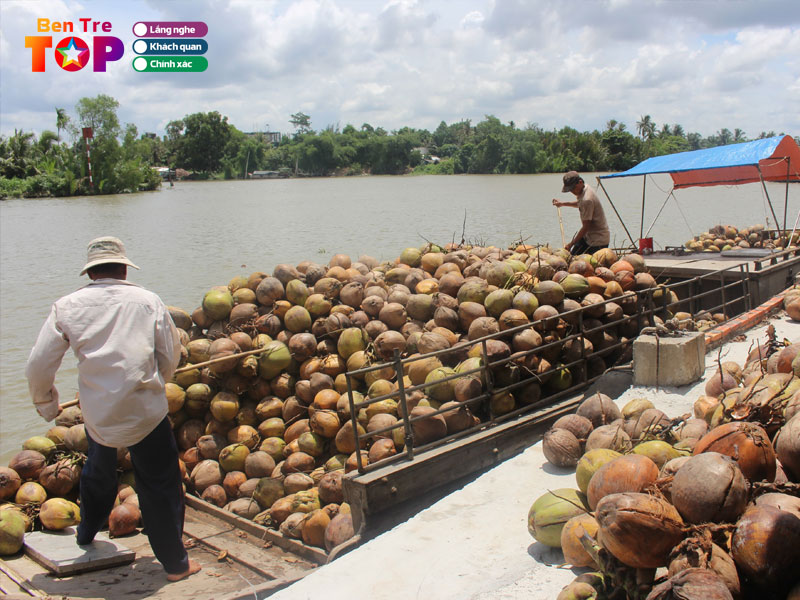 Gioi-thieu-cho-noi-dua-tren-song-thom-bentretoplist