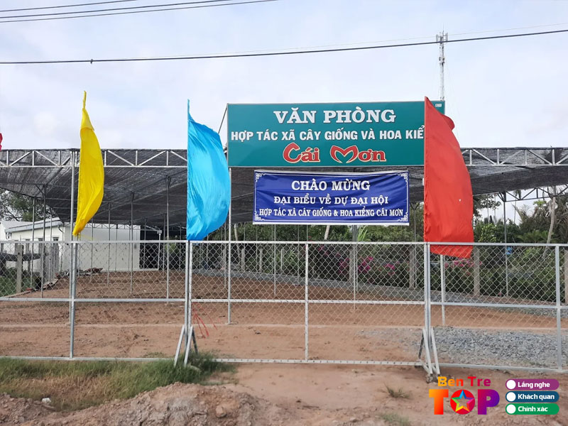 Hop-tac-xa-cay-giong-va-hoa-kieng-cai-mon-bentretoplist