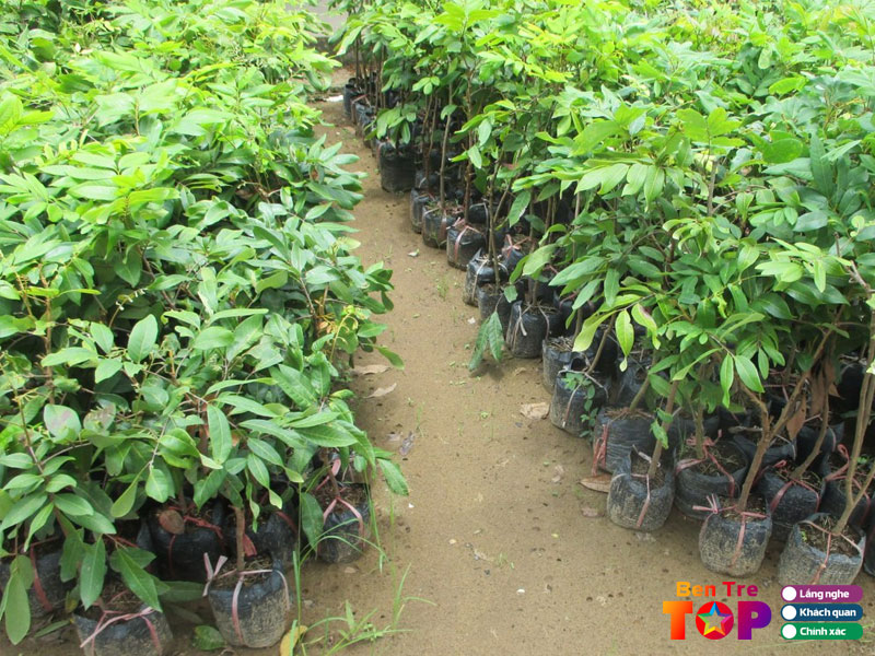 Tieu-chi-cot-loi-va-phuong-phap-luan-danh-gia-cua-bentretoplist-6-bentretoplist