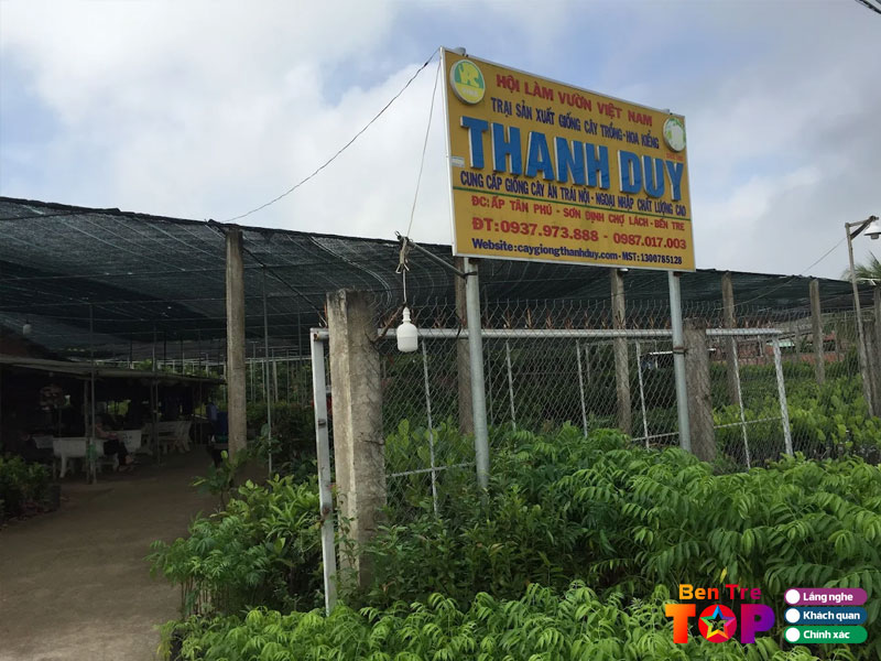 Trai-giong-cay-trong-thanh-duy-bentretoplist