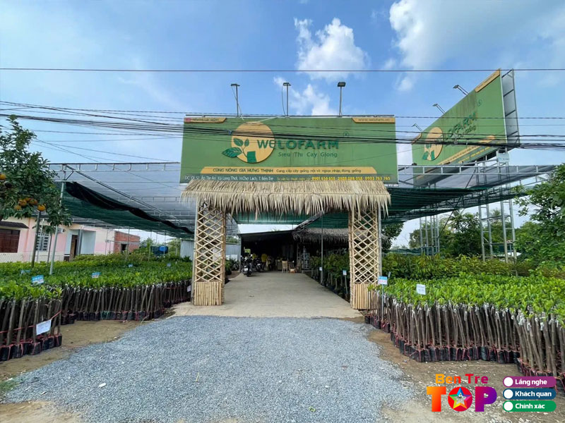 Welofarm-sieu-thi-cay-giong-bentretoplist