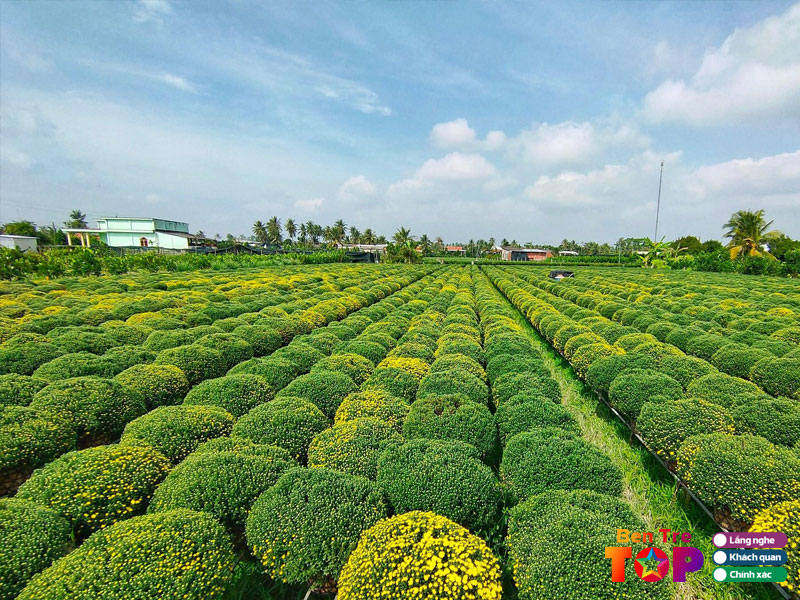 Lang-hoa-kieng-cai-mon-bentretoplist