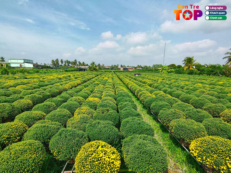 Lang-hoa-kieng-cai-mon-bentretoplist