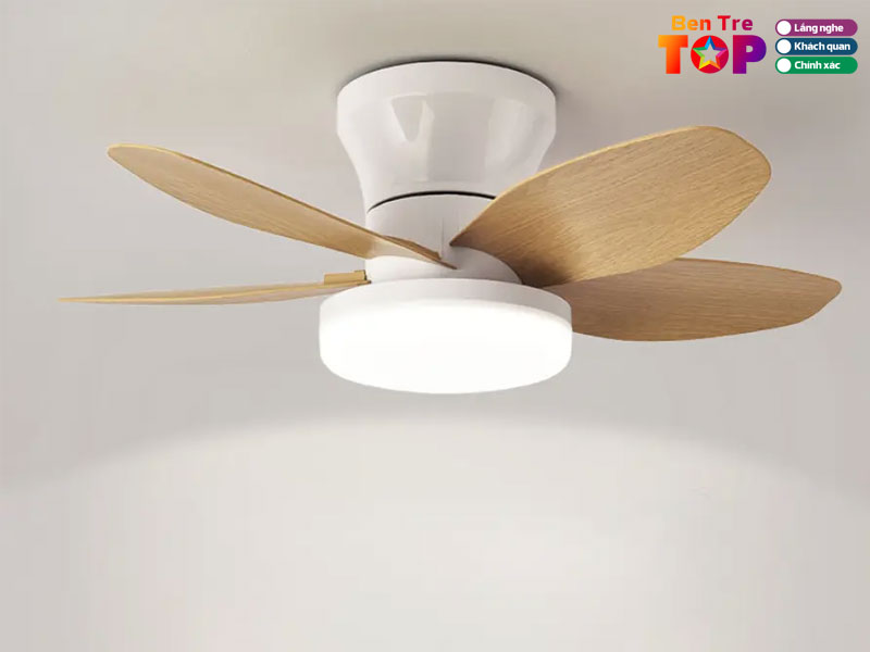 Sieu-thi-dien-may-noi-that-cho-lon-bentretoplist