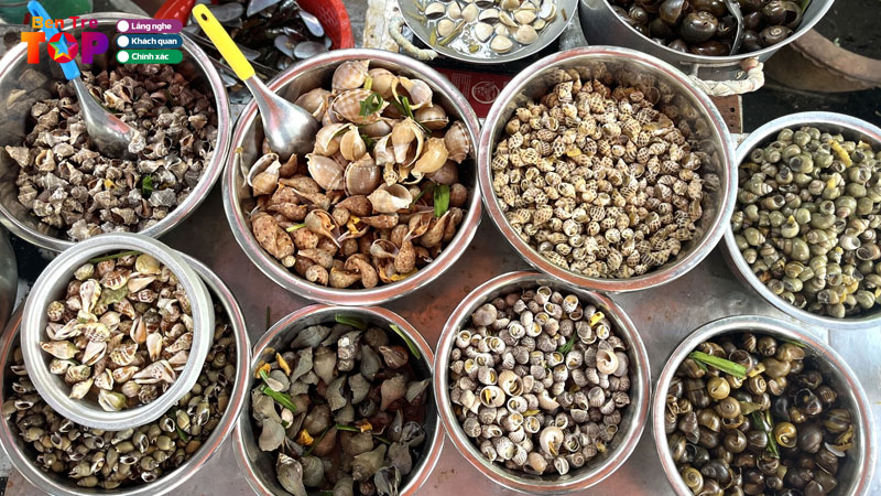 Top-5-vua-oc-o-ben-tre-tuoi-song-moi-ngay-gia-si-le-hap-dan-bentretoplist