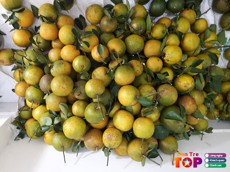 Vua-trai-cay-kim-tuyen-bentretoplist