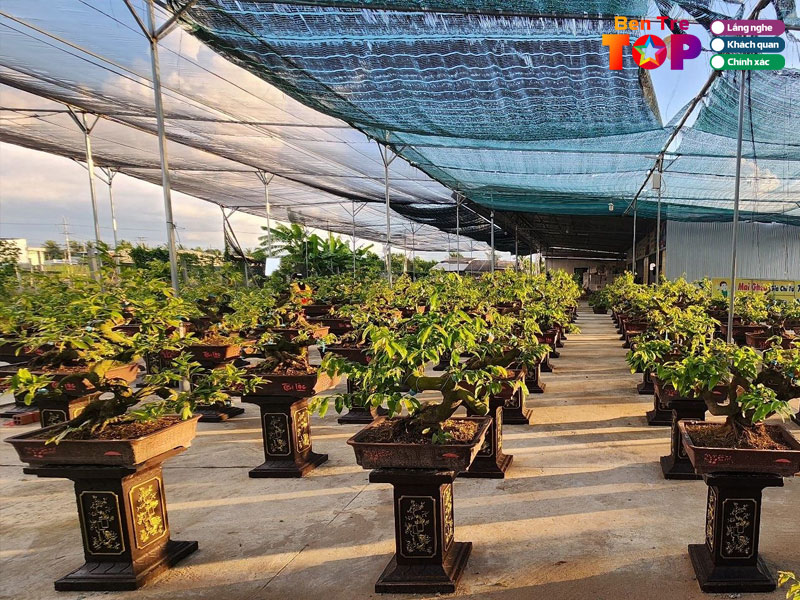 Vuon-mai-hoang-long-bentretoplist