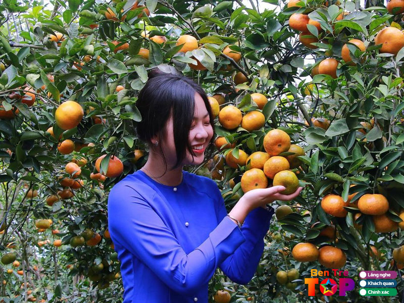 Vuon-trai-cay-cai-mon-bentretoplist