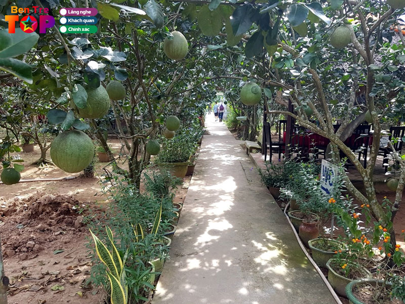 Du-lich-con-quy-ben-tre-nen-di-mua-nao-bentretoplist