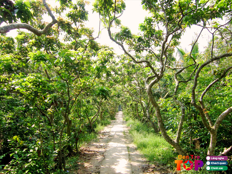 Gioi-thieu-ve-con-quy-ben-tre-bentretoplist