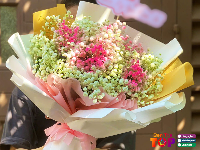 Misshoa-bentretoplist