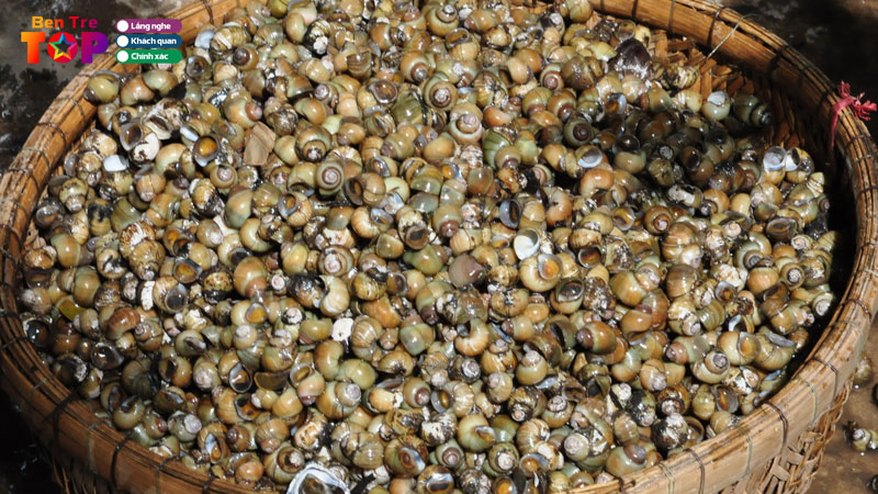 Oc-gao-con-phu-da-ben-tre-dac-san-dan-da-niu-chan-du-khach-bentretoplist