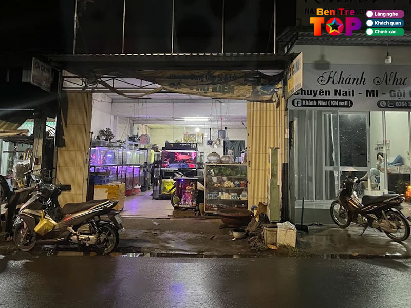 Ca-canh-bao-long-da-dang-thiet-bi-loc-nuoc-bentretoplist