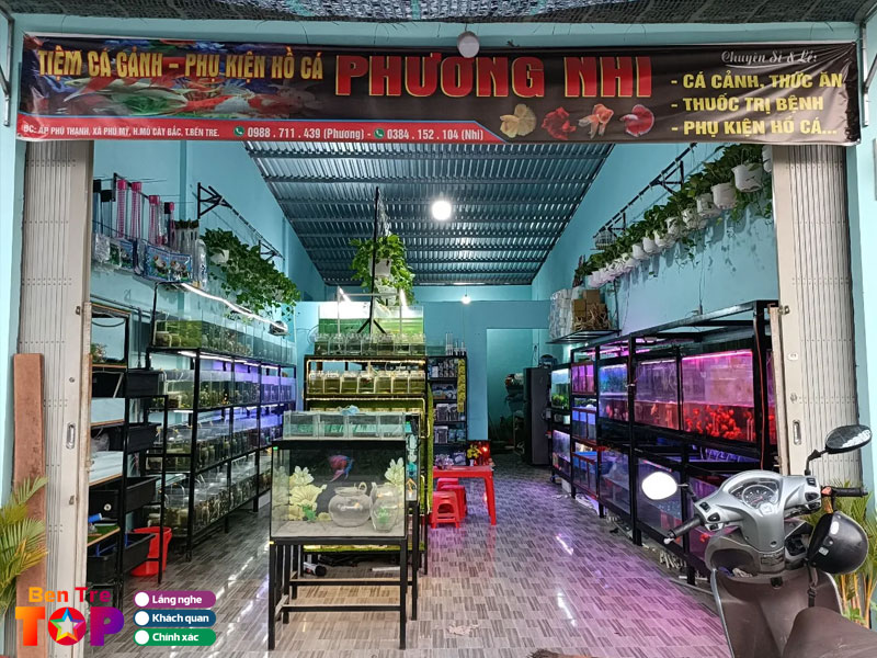 Ca-canh-phuong-nhi-thiet-ke-ho-ca-tron-goi-bentretoplist