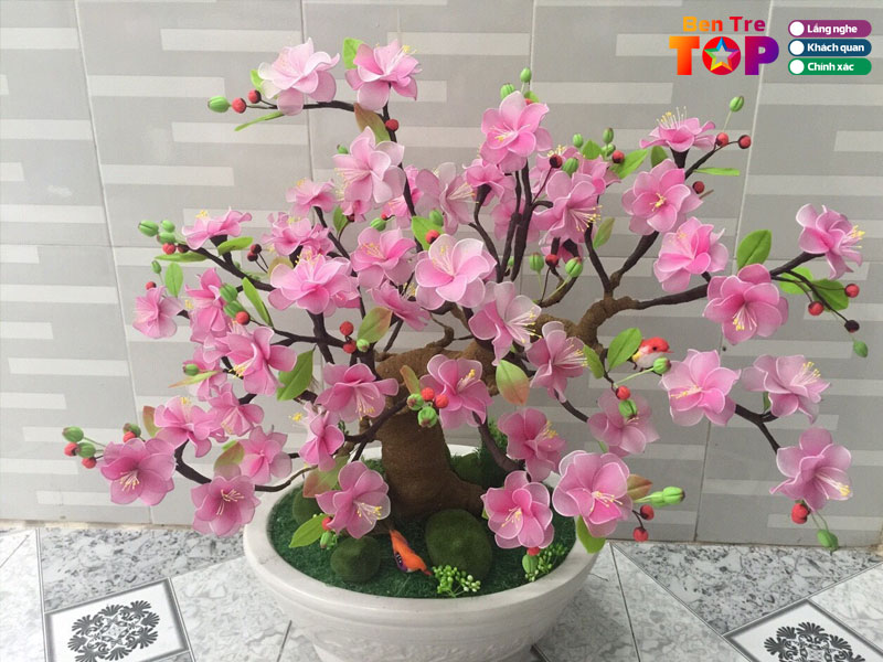 Cau-hoi-thuong-gap-ve-hoa-vai-o-ben-tre-bentretoplist