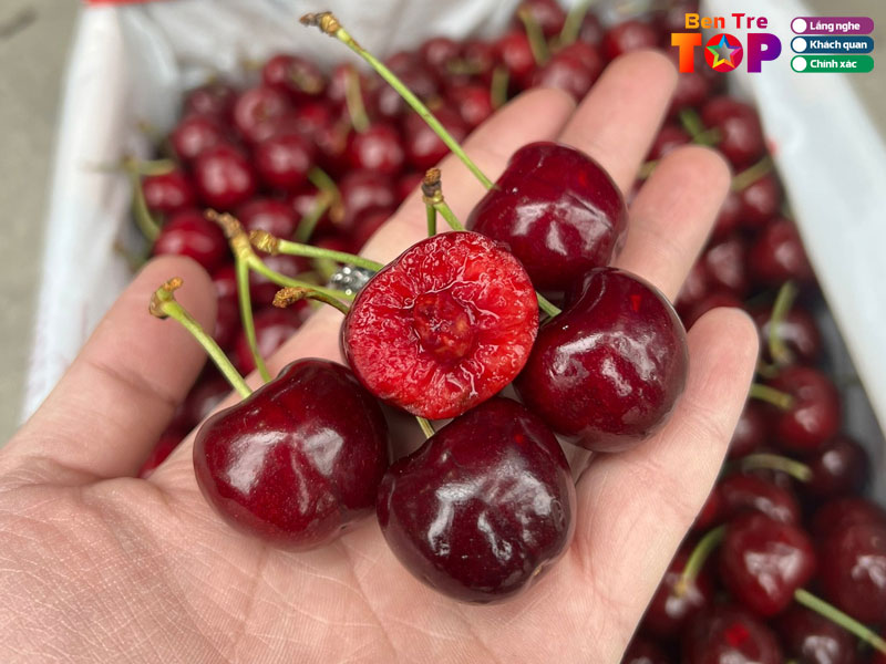Cau-hoi-thuong-gap-ve-mua-cherry-tai-ben-tre-bentretoplist