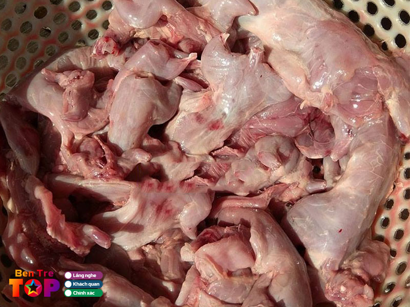 Chuot-dong-ben-tre-bentretoplist