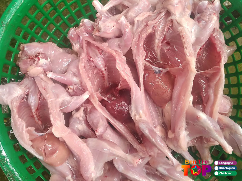 Chuot-dua-kun-phan-bentretoplist