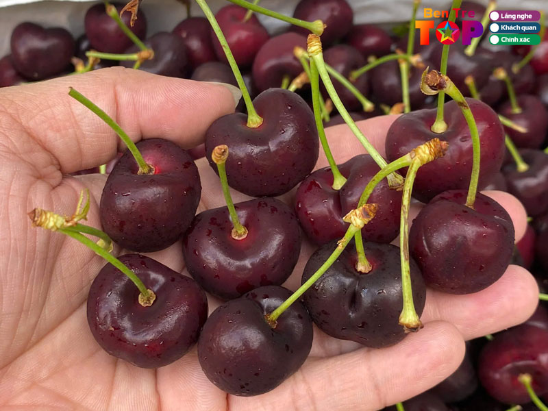 Huong-dan-lua-chon-va-meo-bao-quan-cherry-tu-chuyen-gia-bentretoplist