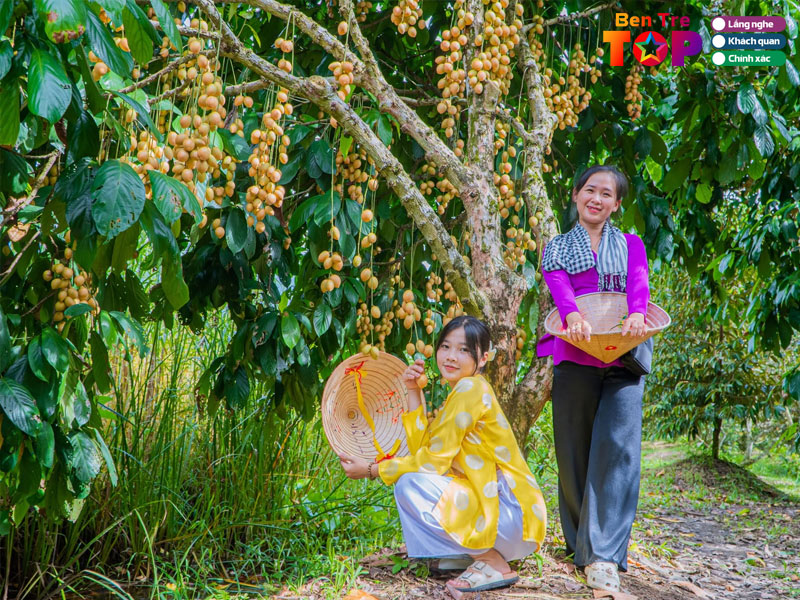 Huong-dan-lua-chon-va-meo-trai-nghiem-tu-dan-ban-dia-bentretoplist-1